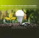 Xiaomi Smart LED Bulb (White and Color)